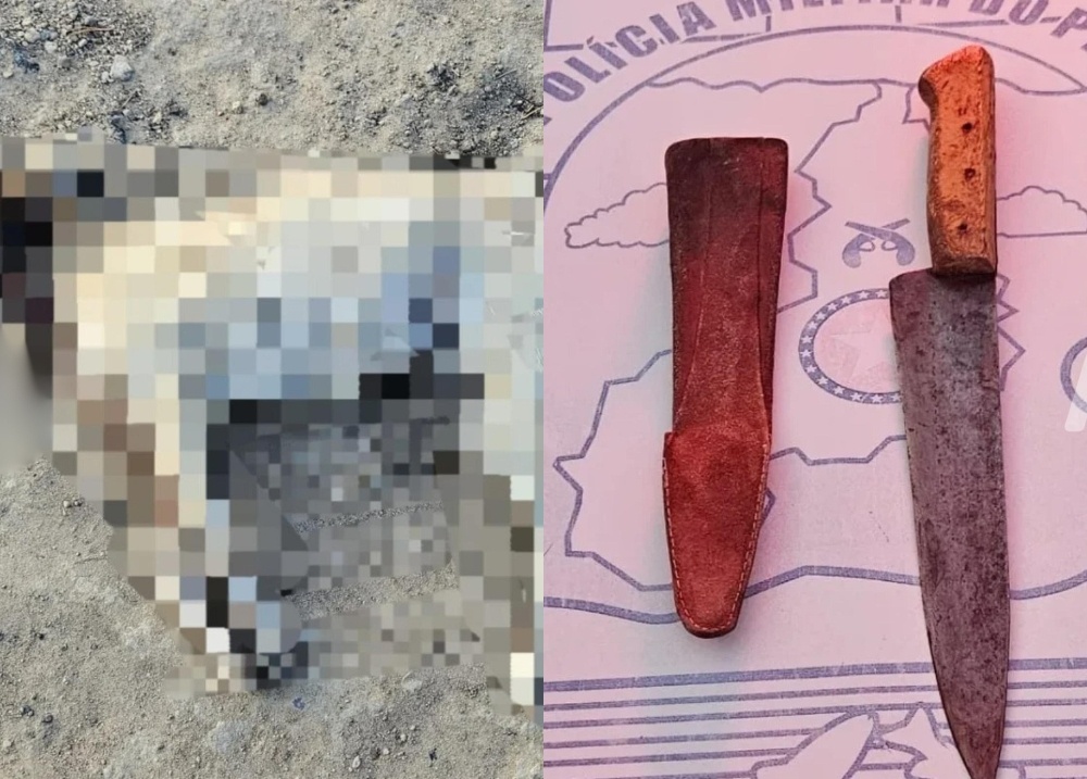 Homem é preso suspeito de matar cachorro a facadas na zona Rural de Paio IX