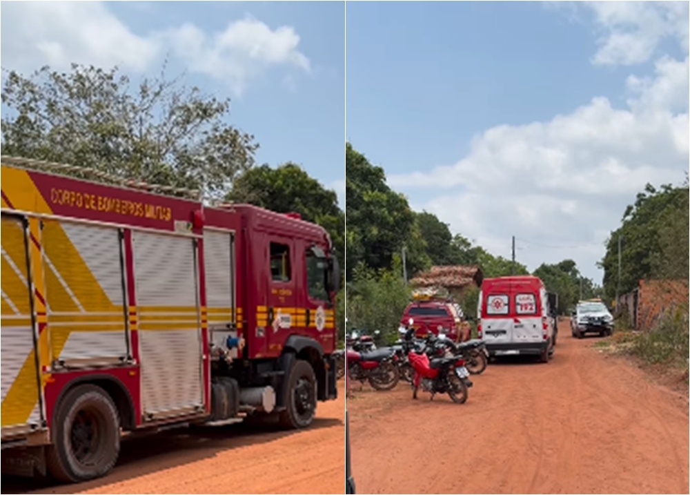 Homem morre após ser atingido por tronco durante poda de cajueiro em Parnaíba