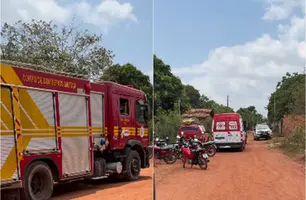 Homem morre após ser atingido por tronco durante poda de cajueiro em Parnaíba (Foto: Reprodução - Click Parnaíba)