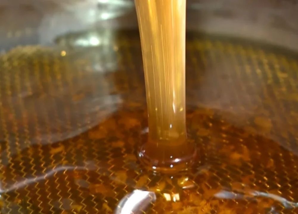 ‘Impacto é gigantesco’, diz prefeito de Paulistana sobre forte estiagem no Piauí