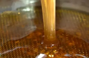 ‘Impacto é gigantesco’, diz prefeito de Paulistana sobre forte estiagem no Piauí (Foto: Reprodução)