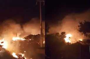 Incêndio atinge área próxima a torres eólicas e mobiliza bombeiros em Parnaíba (Foto: Reprodução)