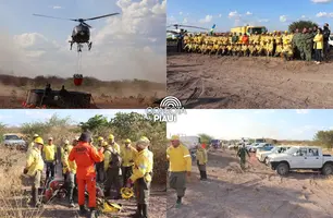 Incêndio atinge Corredor Ecológico Serra da Capivara–Confusões há sete dias (Foto: Reprodução)