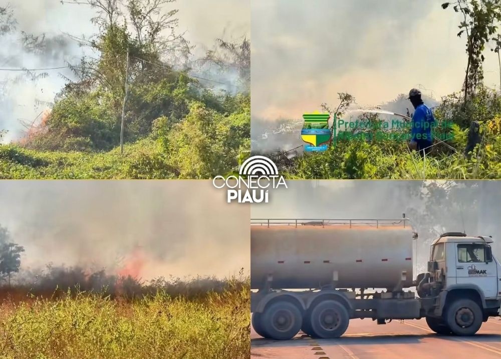 Incêndio de grandes proporções assusta moradores de Ribeiro Gonçalves