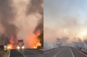 Incêndio de grandes proporções causa interdição na BR-343 perto de Campo Maior (Foto: Reprodução)