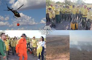 Incêndio no Corredor Ecológico deve ser controlado nos próximos dias (Foto: Reprodução)