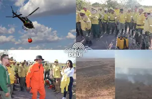 Incêndio no Corredor Ecológico deve ser controlado nos próximos dias (Foto: Reprodução)
