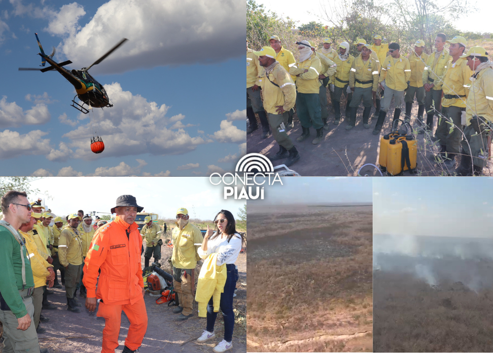 Incêndio no Corredor Ecológico deve ser controlado nos próximos dias