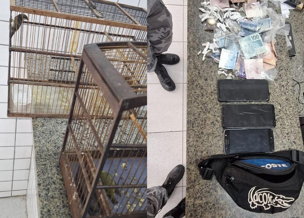Jovem é preso por tráfico de drogas em Parnaíba com drogas e aves silvestres
