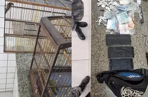 Jovem é preso por tráfico de drogas em Parnaíba com drogas e aves silvestres (Foto: Reprodução)