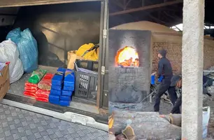 Mais de 20 kg de drogas são incinerados em Parnaíba pela Polícia Civil (Foto: Reprodução)