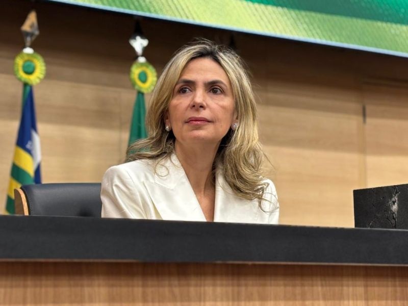 médica cardiologista Ludhmila Abrahão Hajjar