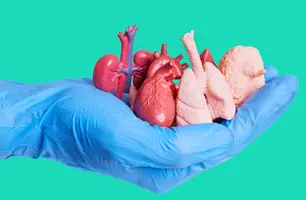 Metade das famílias ainda recusa doar órgãos no país (Foto: Reprodução)