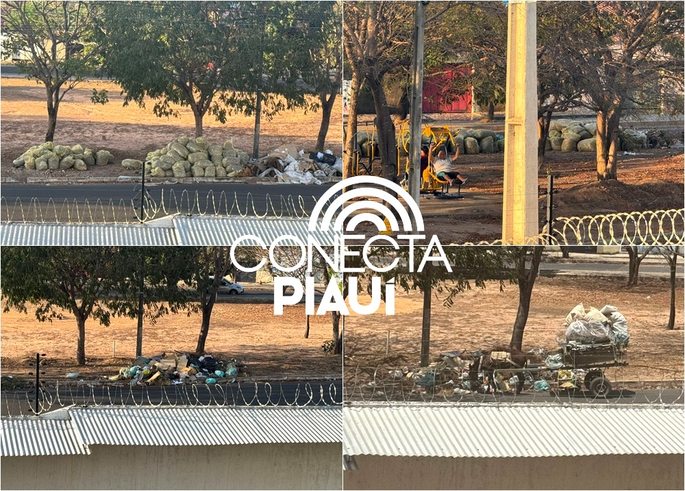 Mini-lixão que surgiu por falta de coleta em Teresina completa um mês