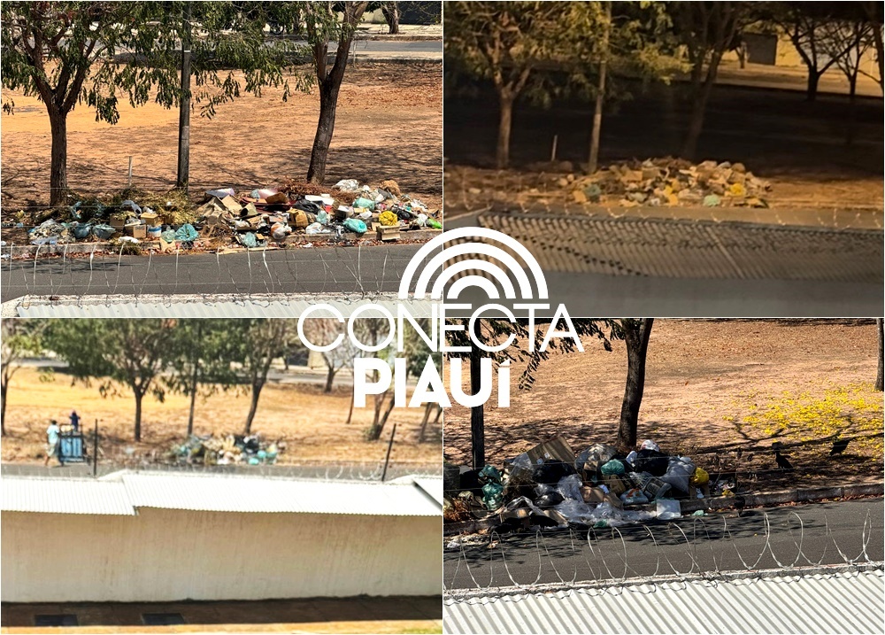 Mini-lixão que surgiu por falta de coleta em Teresina completa um mês
