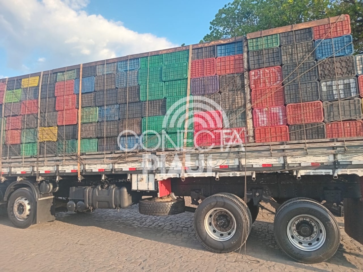 Motorista de caminhão é preso no PI com carga de engradados furtados de hortifruti