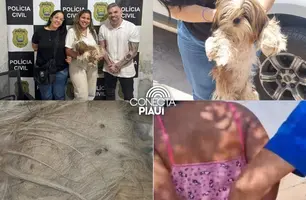Mulher é presa por maus-tratos a cachorro e desacato à polícia em Teresina (Foto: Reprodução)