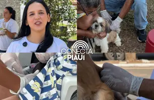 Município de Ribeiro Gonçalves realiza Dia D da vacinação antirrábica (Foto: Reprodução)
