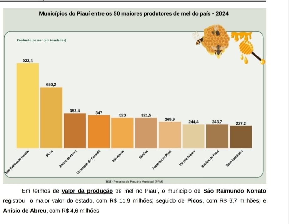O ouro dourado do sertão: Piauí, potência do mel no Brasil