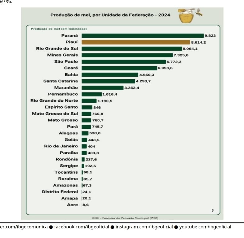 O ouro dourado do sertão: Piauí, potência do mel no Brasil