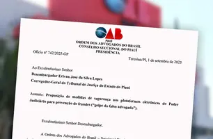 OAB-PI propõe medidas ao TJPI para combater o 'golpe do falso advogado' (Foto: Reprodução)