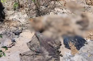 Ossada humana é encontrada em cova no bairro Morro do Carcará, em Parnaíba (Foto: Reprodução/J. Marcos/Folha do Delta)