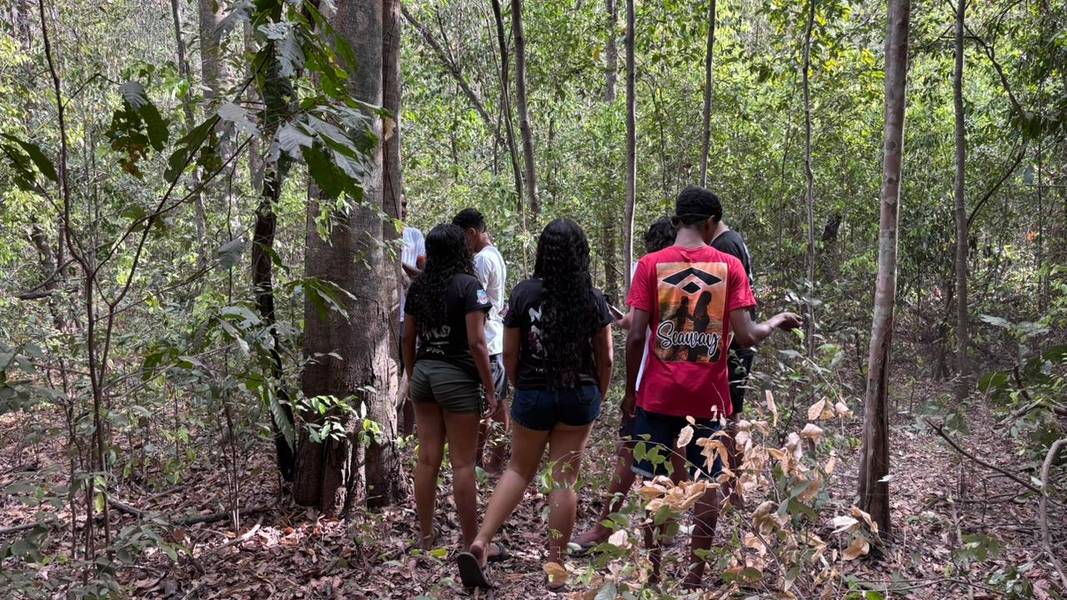 Palmeira do Piauí realiza Semana Ecológica em alusão ao Dia da Árvore