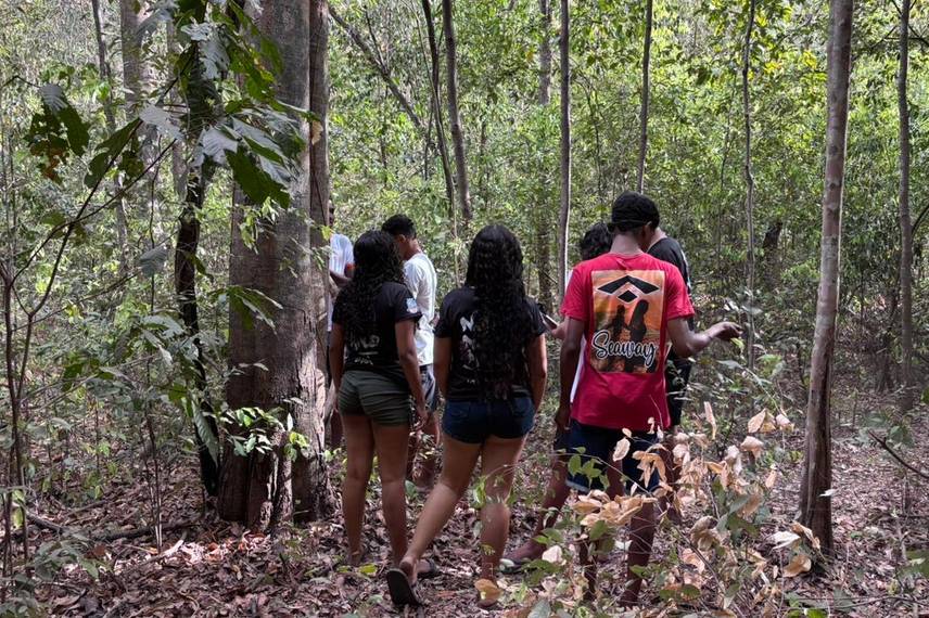 Palmeira do Piauí realiza Semana Ecológica em alusão ao Dia da Árvore Palmeira do Piauí realiza Semana Ecológica em alusão ao Dia da Árvore