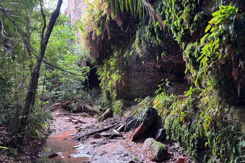 Palmeira do Piauí realiza Semana Ecológica em alusão ao Dia da Árvore Palmeira do Piauí realiza Semana Ecológica em alusão ao Dia da Árvore