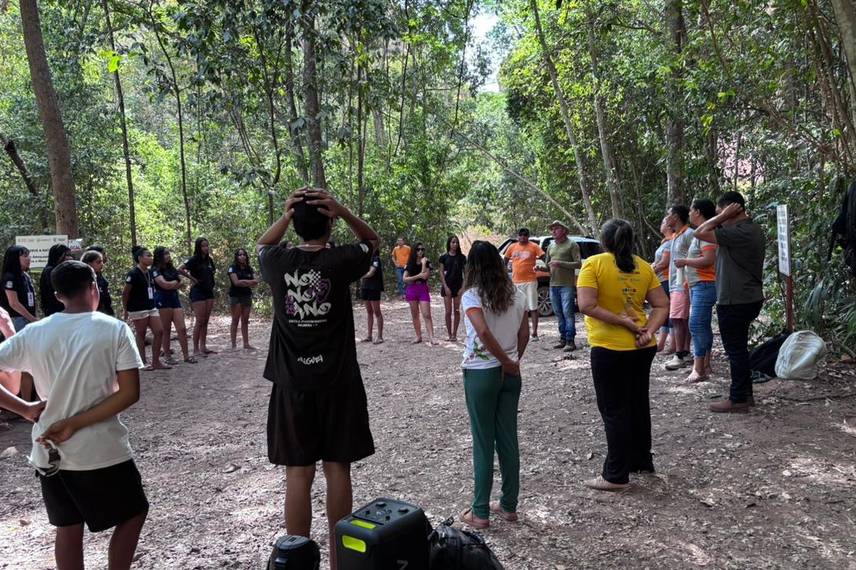 Palmeira do Piauí realiza Semana Ecológica em alusão ao Dia da Árvore Palmeira do Piauí realiza Semana Ecológica em alusão ao Dia da Árvore