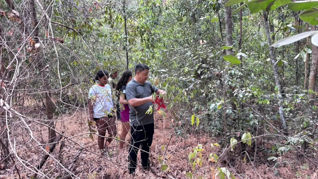 Palmeira do Piauí realiza Semana Ecológica em alusão ao Dia da Árvore