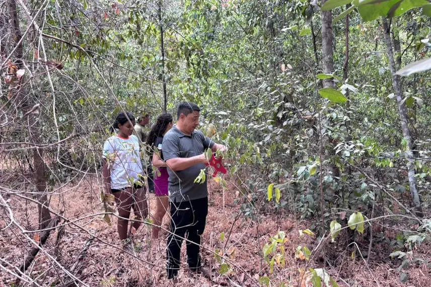 Palmeira do Piauí realiza Semana Ecológica em alusão ao Dia da Árvore
