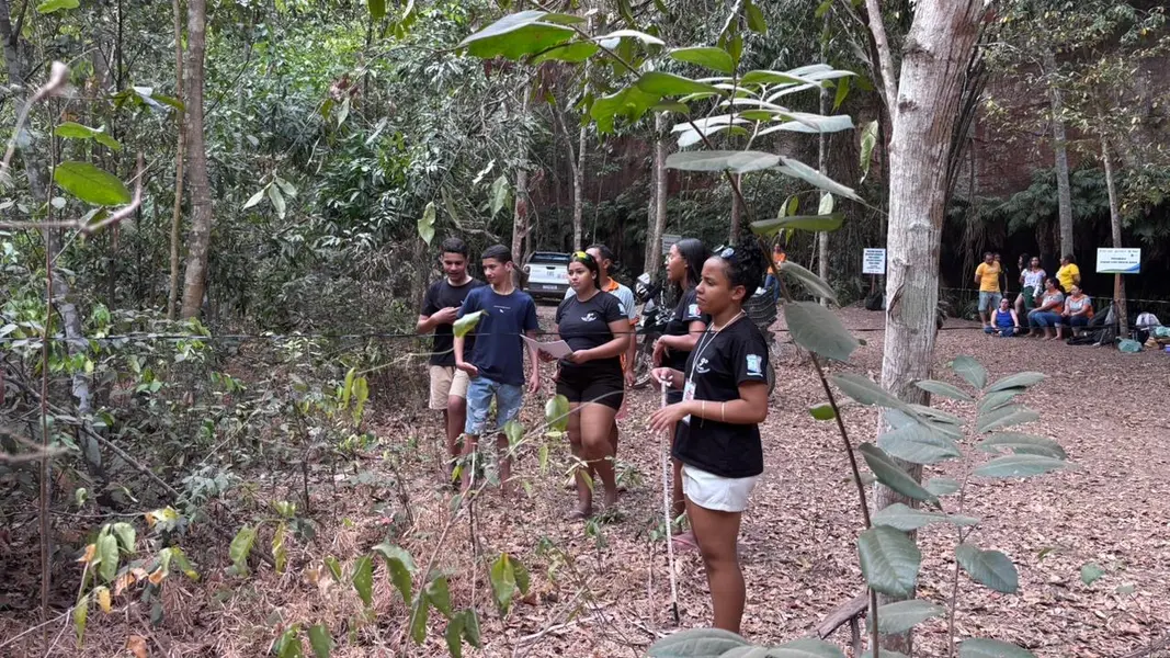 Palmeira do Piauí realiza Semana Ecológica em alusão ao Dia da Árvore