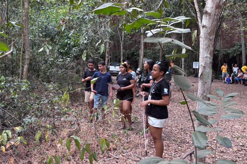 Palmeira do Piauí realiza Semana Ecológica em alusão ao Dia da Árvore Palmeira do Piauí realiza Semana Ecológica em alusão ao Dia da Árvore
