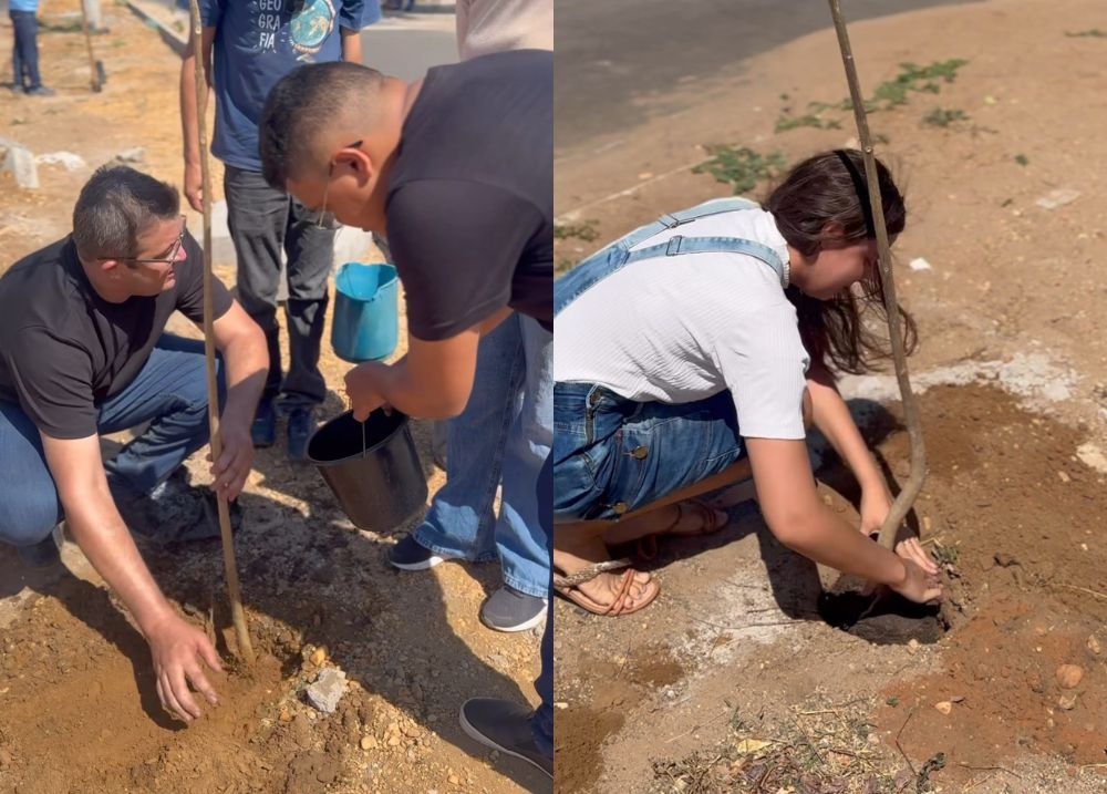 Parnarama realiza plantio de Ipês na Avenida Aeroporto em ação ambiental