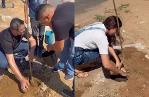 Parnarama realiza plantio de Ipês na Avenida Aeroporto em ação ambiental (Foto: Reprodução)
