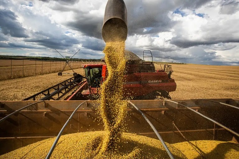 Piauí amplia área produtiva e produtividade
