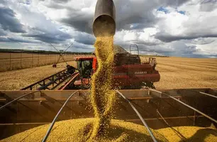 Piauí amplia área produtiva e produtividade (Foto: Agência Brasil)