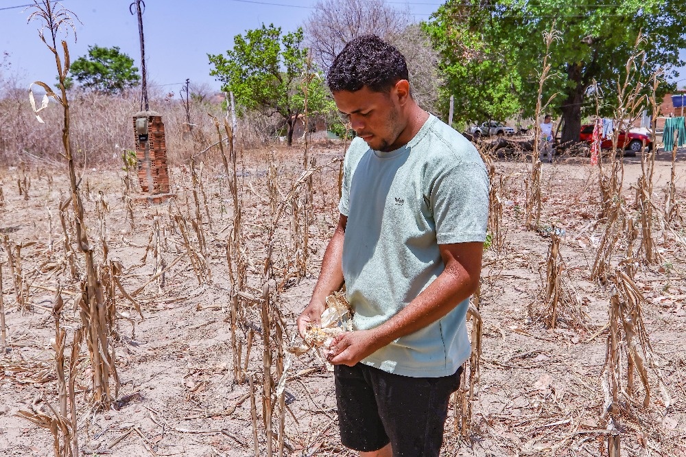 Piauí enfrenta déficit de chuvas de 40% e seca se agrava no interior