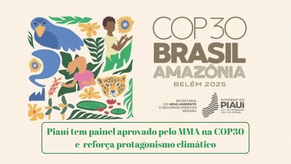 Piauí tem painel aprovado pelo MMA na COP30 e reforça protagonismo climático