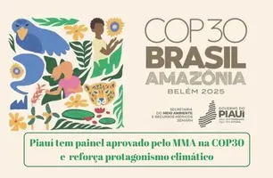Piauí tem painel aprovado pelo MMA na COP30 e reforça protagonismo climático (Foto: Reprodução)