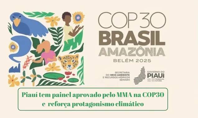 Piauí tem painel aprovado pelo MMA na COP30 e reforça protagonismo climático