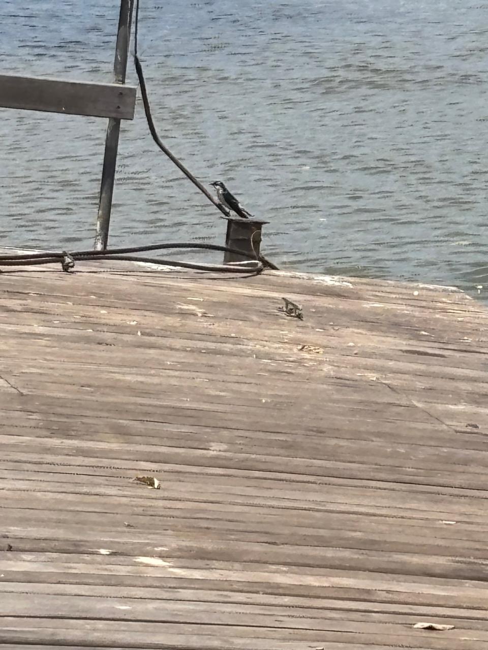 Pier do Iate Clube, em Teresina, sofre com abandono e vira símbolo do descaso