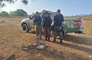 PM resgata animais silvestres mantidos em cativeiro em Caraúbas do Piauí (Foto: Reprodução)