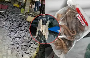 Polícia apreende 2 toneladas de barbatanas de tubarão em Parnaíba (Foto: Reprodução)