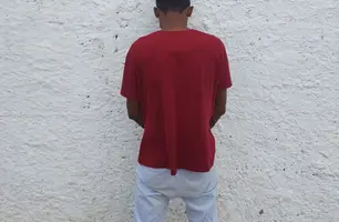 Polícia Civil prende homem que tentou matar vizinho em Água Branca (Foto: Reprodução)