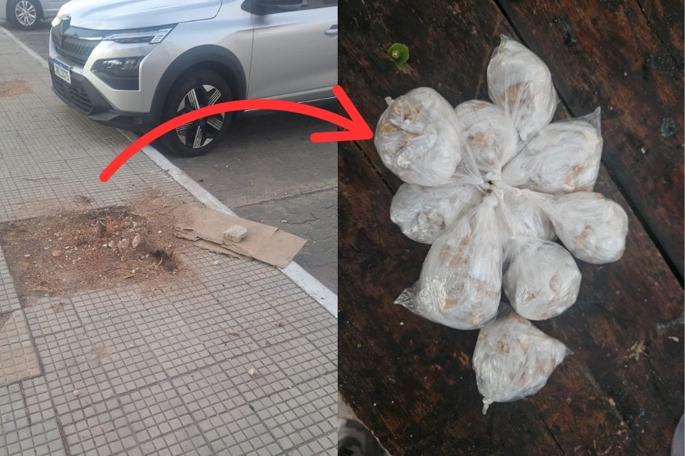 Polícia Militar apreende 200 porções de crack enterradas em praça de Teresina