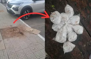 Polícia Militar apreende 200 porções de crack enterradas em praça de Teresina (Foto: Reprodução)