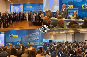 Prefeitos do Piauí participam de debate sobre PEC da Reforma Política em Brasília (Foto: Conecta Piauí)