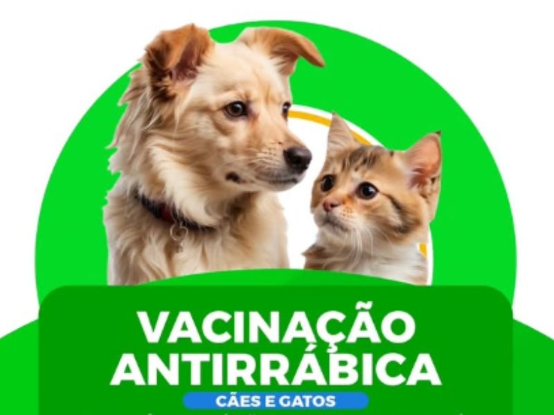 Prefeitura de Beneditinos inicia campanha de vacinação antirrábica em cães e gatos